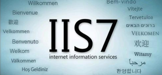IIS僞靜态重寫組件